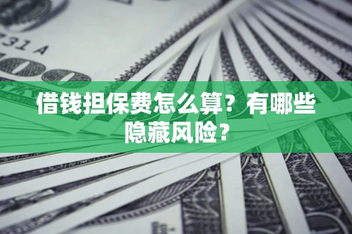 武汉借钱担保费怎么算？有哪些隐藏风险？