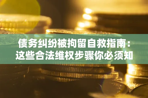武汉债务纠纷被拘留自救指南：这些合法维权步骤你必须知道！