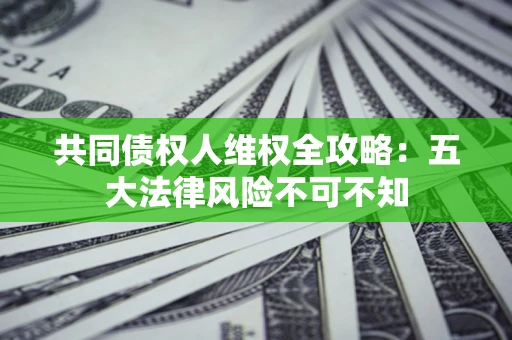武汉共同债权人维权全攻略：五大法律风险不可不知