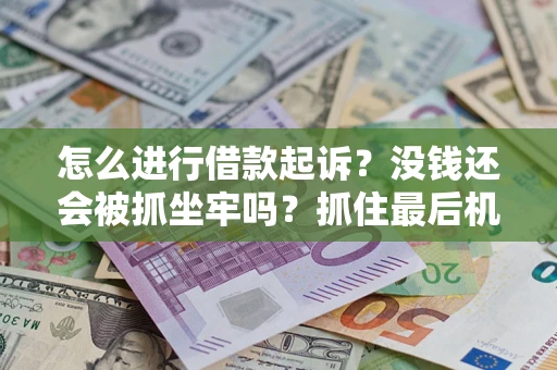 武汉怎么进行借款起诉？没钱还会被抓坐牢吗？抓住最后机会！