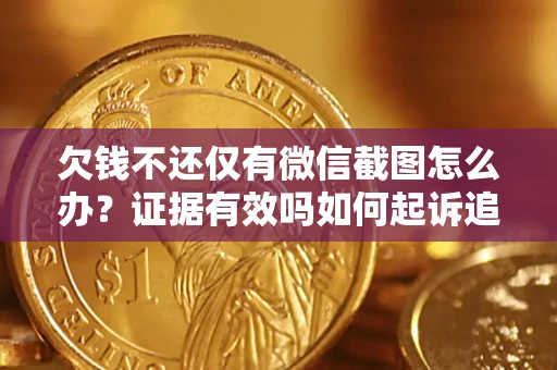 武汉欠钱不还仅有微信截图怎么办？证据有效吗如何起诉追回欠款？