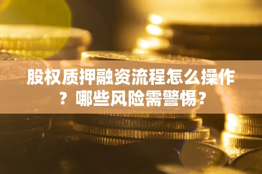 武汉股权质押融资流程怎么操作？哪些风险需警惕？