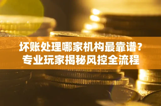 武汉坏账处理哪家机构最靠谱？专业玩家揭秘风控全流程