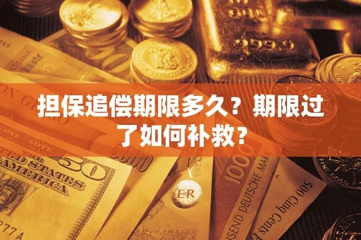 武汉担保追偿期限多久？期限过了如何补救？