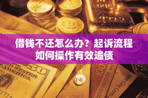 武汉借钱不还怎么办？起诉流程如何操作有效追债
