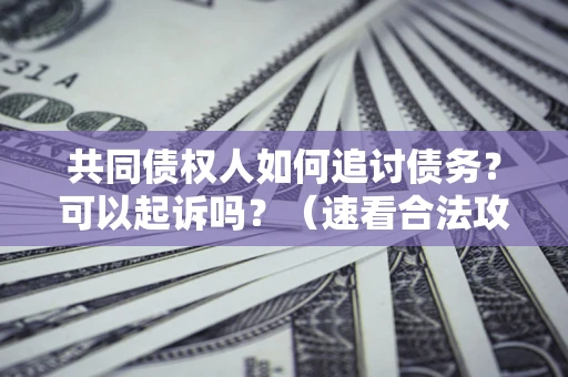 武汉共同债权人如何追讨债务？可以起诉吗？（速看合法攻略）