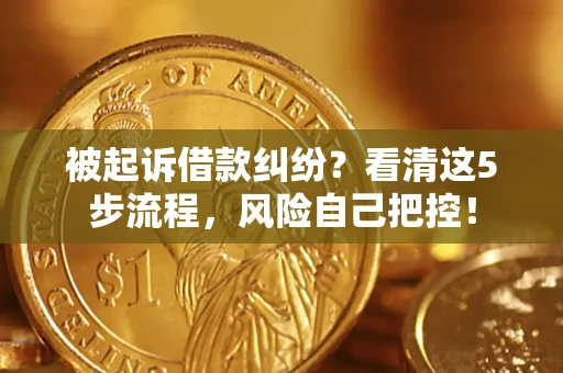 武汉被起诉借款纠纷？看清这5步流程，风险自己把控！