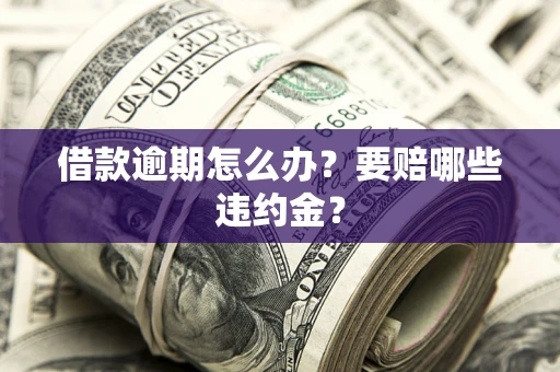武汉借款逾期怎么办？要赔哪些违约金？