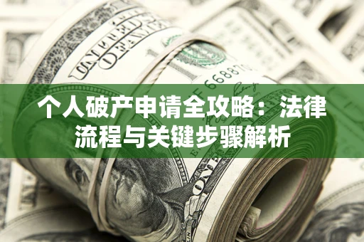 武汉个人破产申请全攻略：法律流程与关键步骤解析